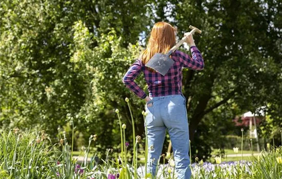 Gartenarbeit leicht gemacht – mit den richtigen Geräten