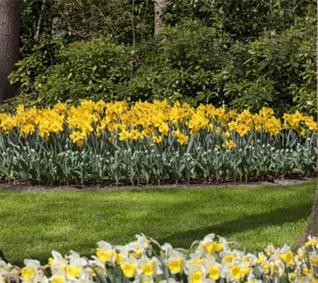 Das richtige Blumenbeet für den eigenen Garten Das richtige Blumenbeet für den eigenen Garten