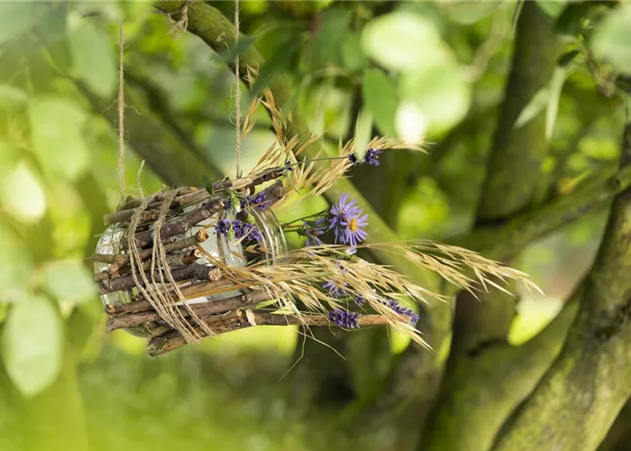 Ein Vogelhaus aus einem Weckglas - gläserner Futter-Stopp für Vögel Ein Vogelhaus aus einem Weckglas - gläserner Futter-Stopp für Vögel