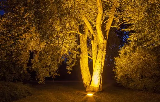 Weihnachts-Lichter-Gärten